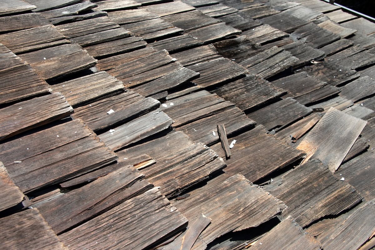 Damaged wooden shake shingles