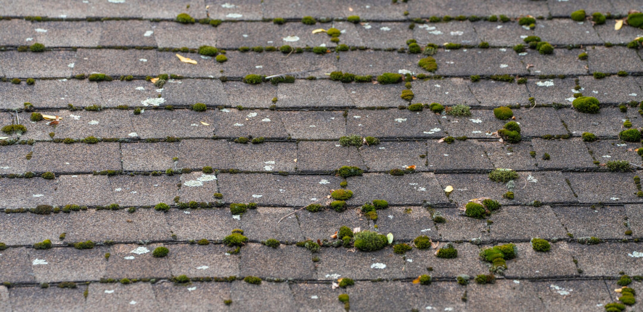 dirty house roof shingle as design background