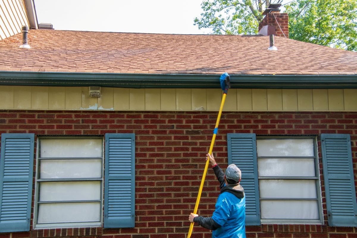 how to remove mold from roof shingles worker using brush to clean