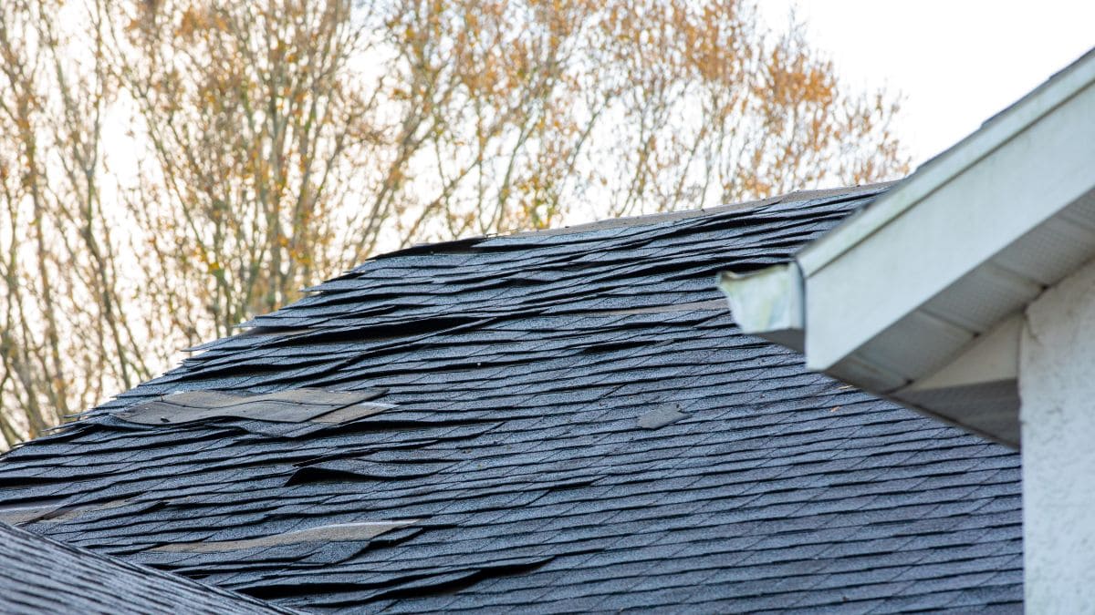 roof insurance claim Storm damage shingles removed