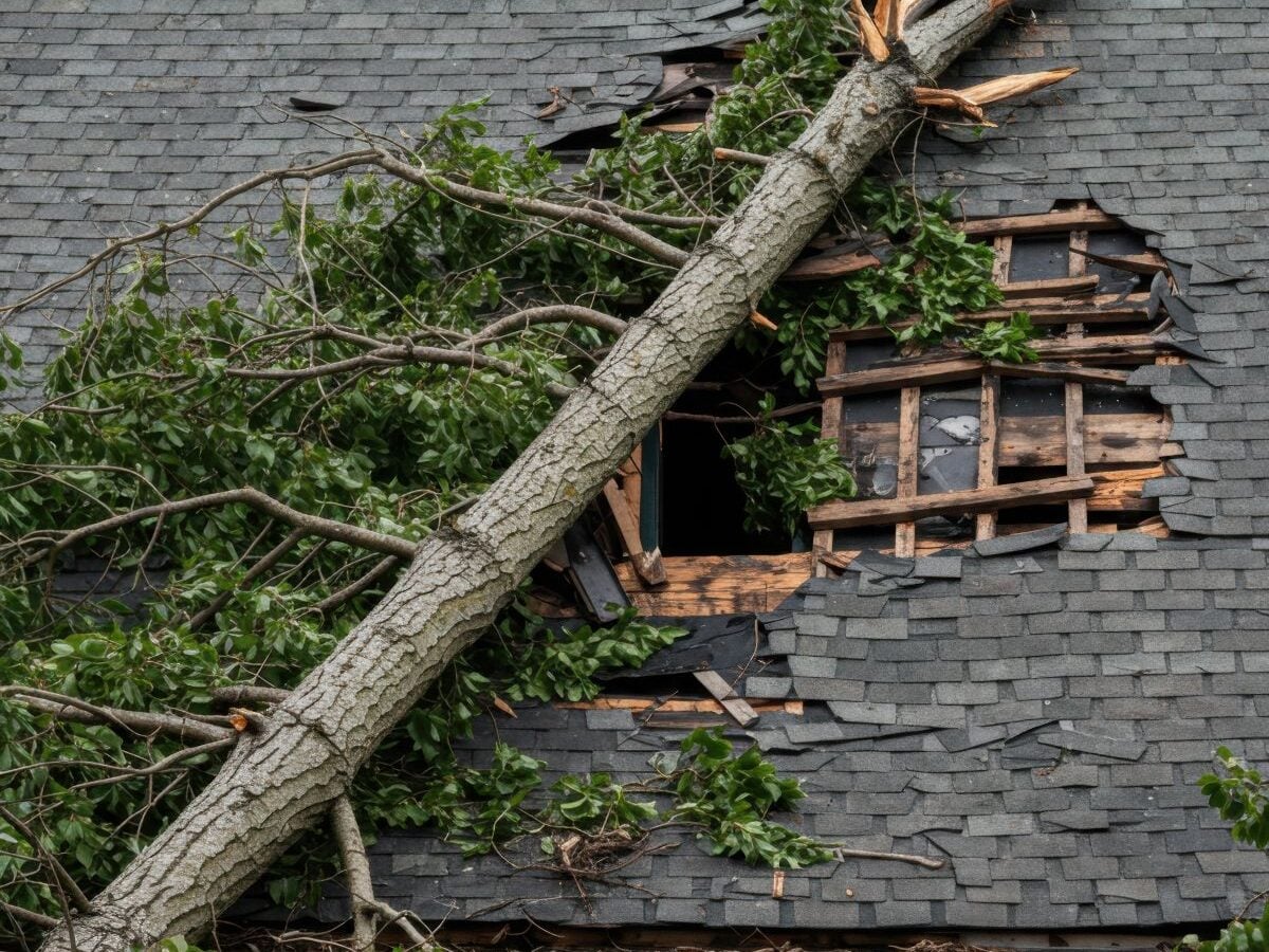 storm damage roof inspection tree fallen destroyed shingles