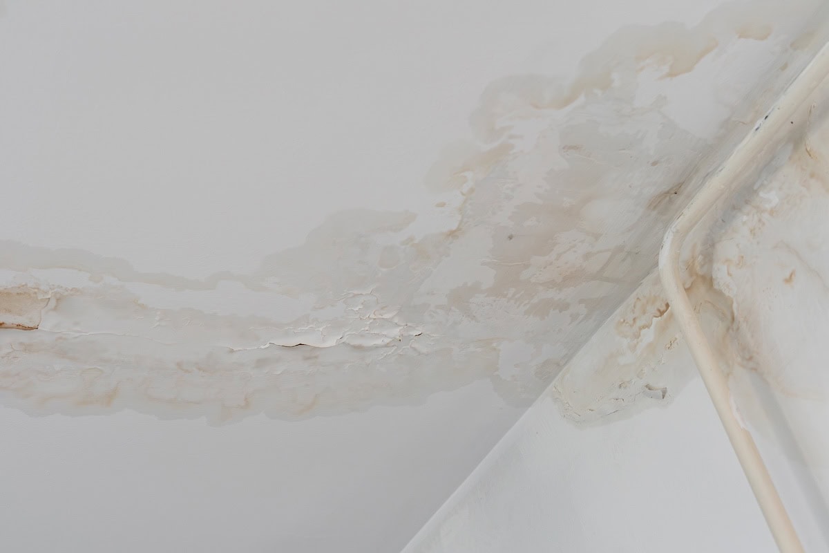 Tan water stain pattern spreading across white ceiling near crown molding