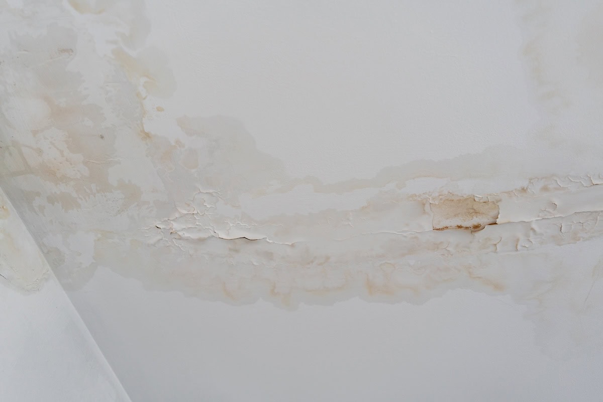 paint peeling and cracking from long-term water intrusion
