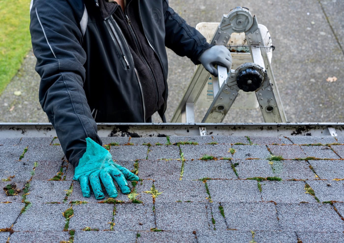roof moss maintenance